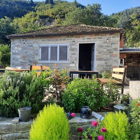 Bujtina Lugina E Vjoses Villa Permet Exterior photo